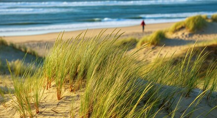 Lush green grass swaying on sandy beach with ocean waves in the background