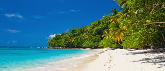 Tropical Beach Paradise Scenery