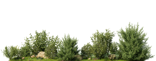 Green Shrubs with rocks on grass on a transparent background