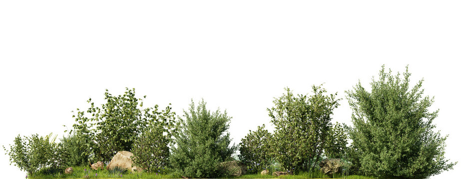 Green Shrubs with rocks on grass on a transparent background