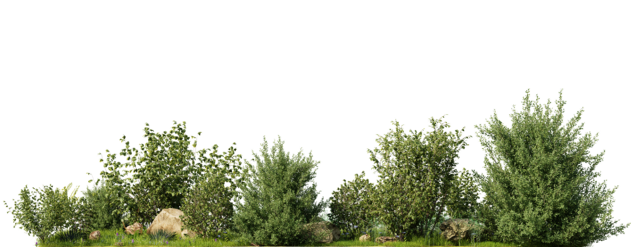 Green Shrubs with rocks on grass on a transparent background
