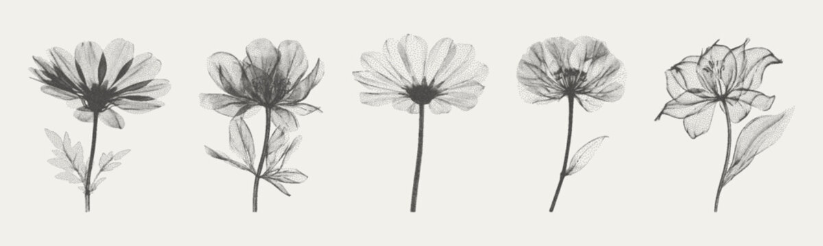 Trendy color elements with X-ray effect. Photocopies for the design. A texture in the form of vector points.