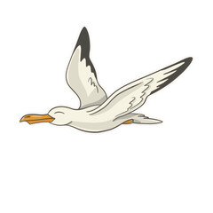 Flying Seagull