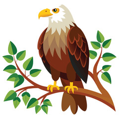 Obraz premium Photo of eagle with two leg flying isolated on white background