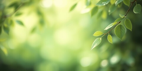 Obraz premium Serene Springtime Branch with Vibrant, Fresh Green Leaves Against a Soft, Blurred Background