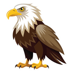 Fototapeta premium Photo of eagle with two leg flying isolated on white background