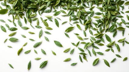 Fototapeta premium Green tea leaves scattered on a white background with subtle gradient, scatter, texture
