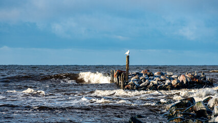 landscape with the seashore, windy winter day, water splashes, stone pier on the seashore, Baltic...
