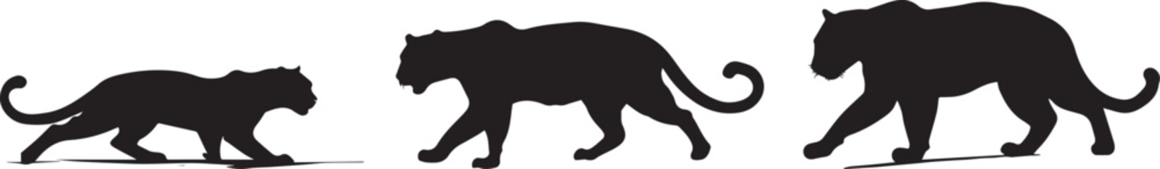 Silhouette of a jaguar stalking vector illustration © Hina