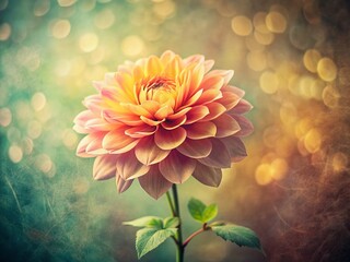 Vintage Floral Design: Copy Space for Text and Branding, Botanical Art Photography