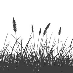 Black and White Grass in Vector Strokes