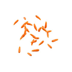 Obraz premium Fresh baby carrots in motion against a white backdrop