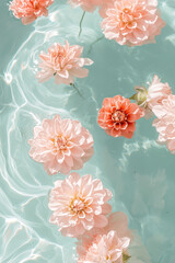 beautiful white and pink freesia flowers floating on the water in a pool