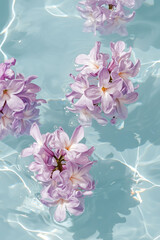 beautiful lilac hyacinths flowers floating on the water