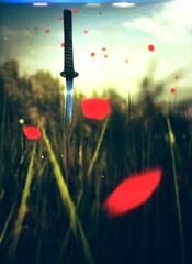 Katana in a Field of Poppies – Serenity and Symbolism