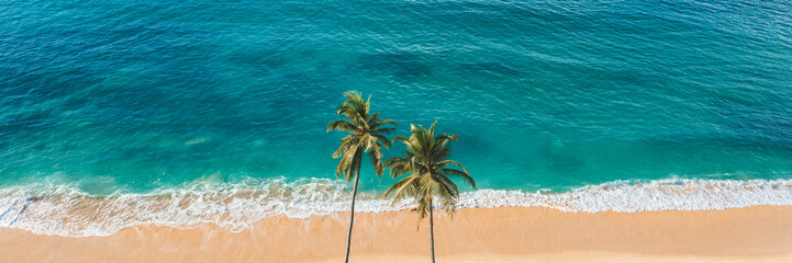 Stunning aerial view of a tropical beach with two palm trees standing on golden sand. Vibrant turquoise ocean waves meet the shore, creating a serene paradise vibe. Ideal for travel themes. 