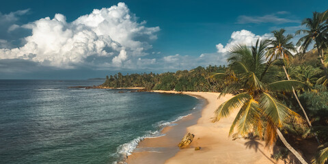Aerial view of a tranquil beach in Sri Lanka with golden sands, lush palm trees, and calm turquoise...
