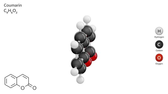 Coumarin. Animated 3D model of a molecule. Molecular formula: C9H6O2. Chemical model: Ball and sticks. White background. 3D rendering. Seamless loop.