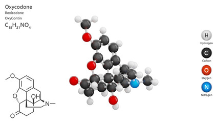 Molecule: Oxycodone. Drug. Molecular structure. Formula: C18H21NO4. Chemical model: Ball and stick. White background. 3D illustration.