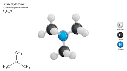 Molecule: Trimethylamine. Molecular structure. Formula: C3H9N. Chemical model: Ball and stick. White background. 3D illustration.