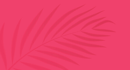 Shadow of palm leaves on a bright pink background, minimalist style.