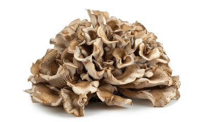 Maitake Mushrooms