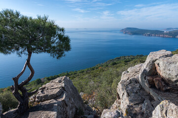 Stunning view of the Sea of Marmara from the highest point on the island of Buyukada, Turkey....