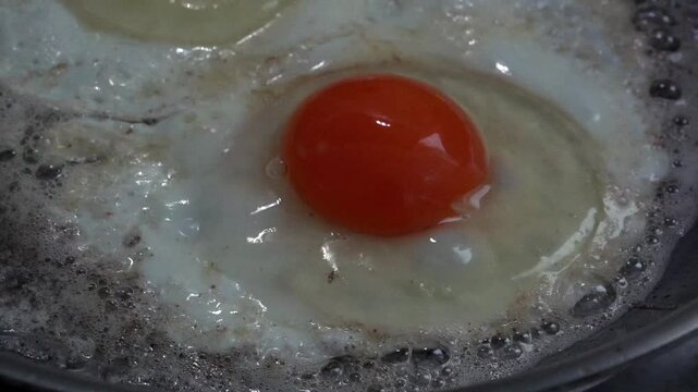 fried egg in a frying pan