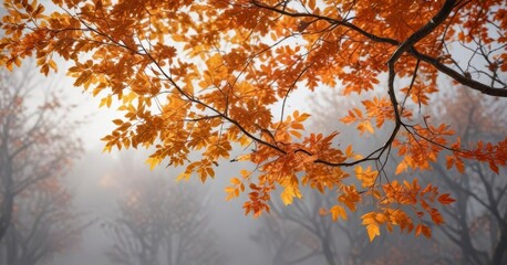Autumn branch with vibrant orange leaves stretching upwards,  colorful,  foliage,  nature
