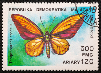Malagasy Republic, CIRCA 1992 :Postage stamp. A stamp printed in Malagasy Republic  shows of butterfly shows troqonoptera croesus, circa 1992