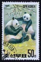 DPRK - CIRCA 1991:Postage stamp. A stamp printed in DPRK shows panda, series, circa 1991