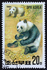 DPRK - CIRCA 1991:Postage stamp. A stamp printed in DPRK shows panda, series, circa 1991