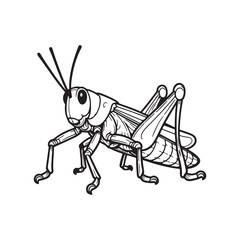 Single grasshopper black line art vector on white background.