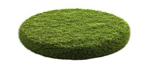Patch of fresh green lawn grass on transparent background. cutout