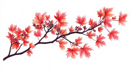 Vibrant Autumn Maple Leaves Branch Wide Angle Centered