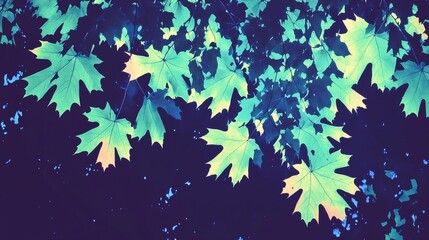 Vibrant teal maple leaves in autumn forest nature photography scenic environment close-up perspective