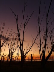 sunset in the park © Lorena
