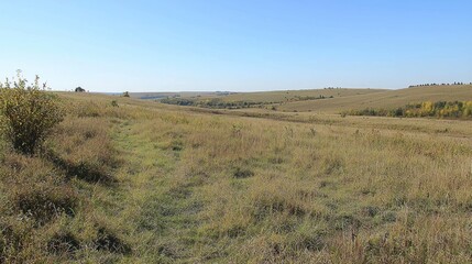 Fototapeta premium Autumnal grassland valley, rolling hills, clear sky, rural landscape, nature photography
