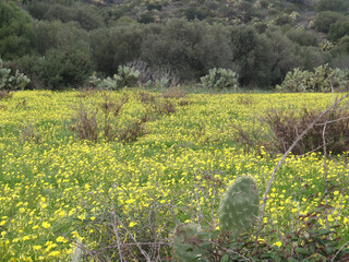 Paesaggio