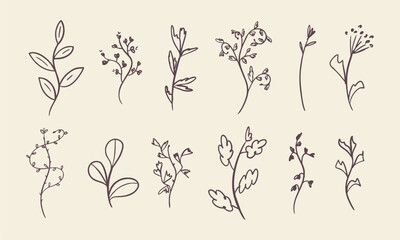 Set of vector drawings of meadow flowers. Ink drawing of wild flowers, grass. Collection of floral drawings. Artistic botanical elements. Hand-drawn icons.