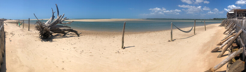 Panoramic View of Pristine Beach with Driftwood