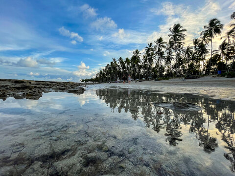 Reflection of Palm Trees on a Tranquil Beach