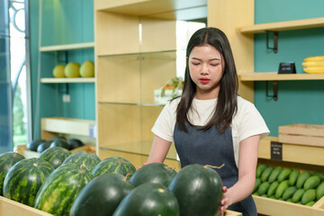 Young Asian female wearing denim apron arranging fresh watermelons in fruit store with green walls...