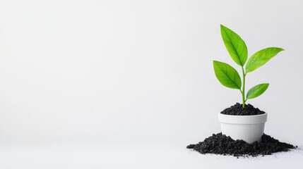 Small green plant in a white pot with financial growth and profits represented by charts and graphs