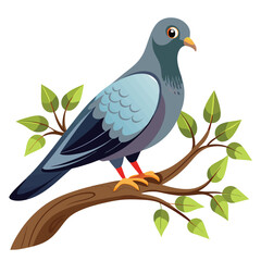 Photo of a  pigeon    with two legs flying isolated on a white background.