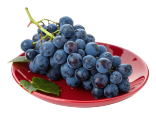 Vivid black grape bunch carefully placed on a red saucer with realistic textures, ideal for professional food designs and product ads Vector File