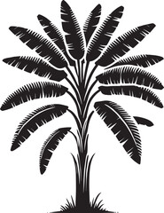 Banana Tree vector illustration black silhouette isolated on white background