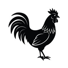 A rooster  vector illustration 