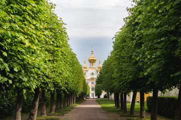 Fototapete bei efototapeten.de bestellen   