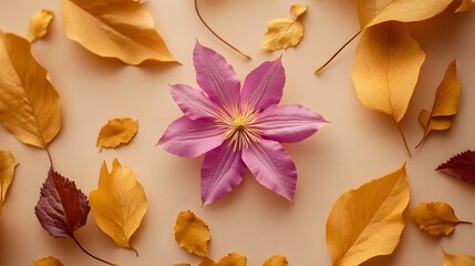 Vibrant Pink Flower Surrounded by Autumn Leaves on Plain Background